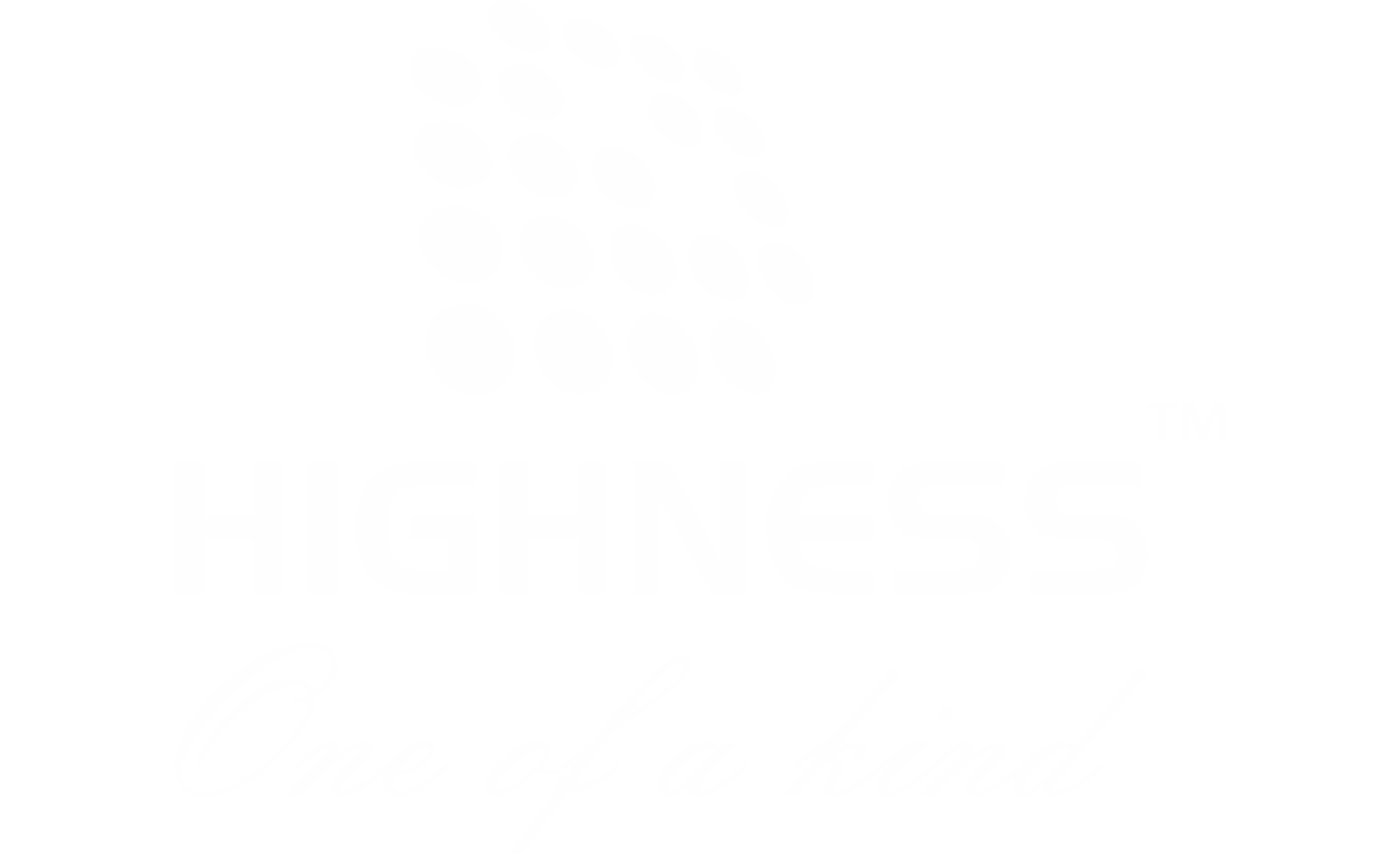 HighnessMicro